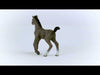 EAN 4059433578736 - schleich HORSE CLUB 13957 figura de juguete para niños