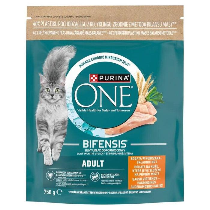 Purina One Mini Active Bogata W Kurczak Z Ryz 750g