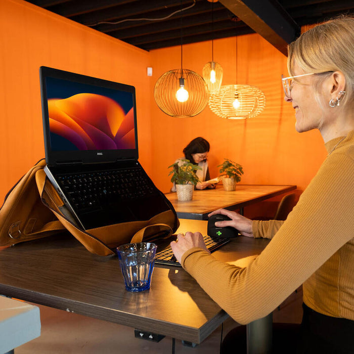 R-Go Tools Maletines Para Portátil 39,6 Cm (15.6") Maletín Marrón