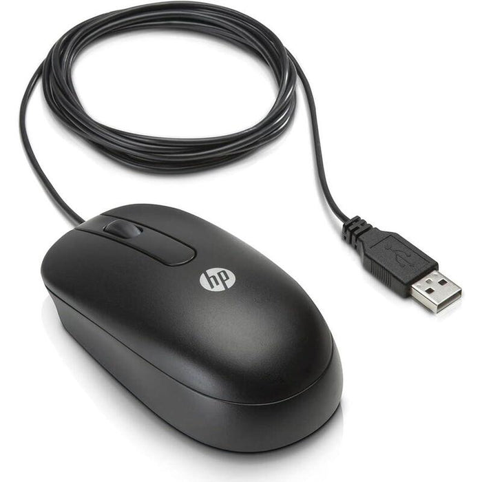 Raton Reacondicionado Hp Sm-2022 672662-001  Negro Usb Con Cable 1 Año De Garantia
