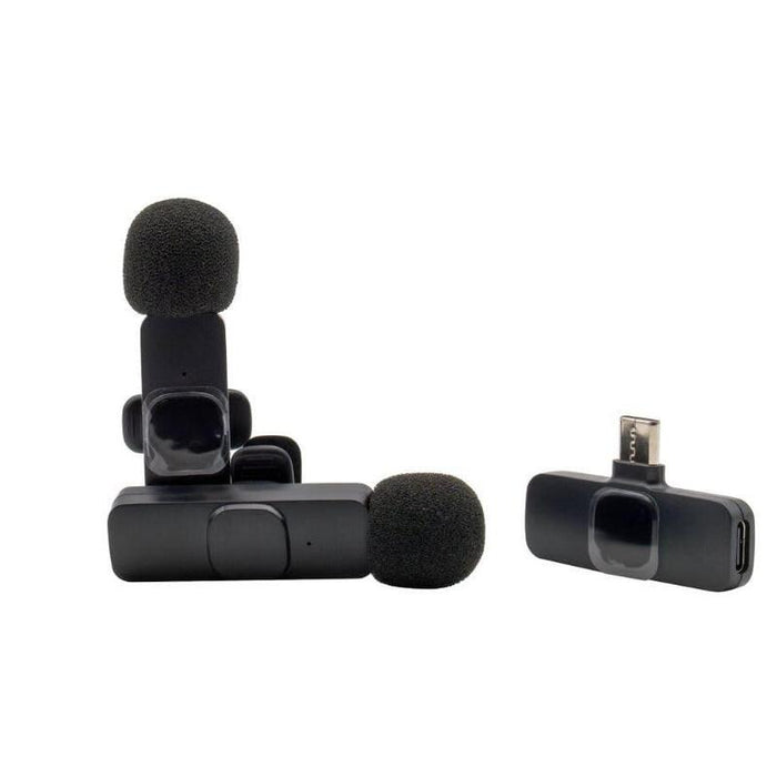 Realpower Hs-1,Wireless Microphone,2 Mikrofone,1 Empfänger