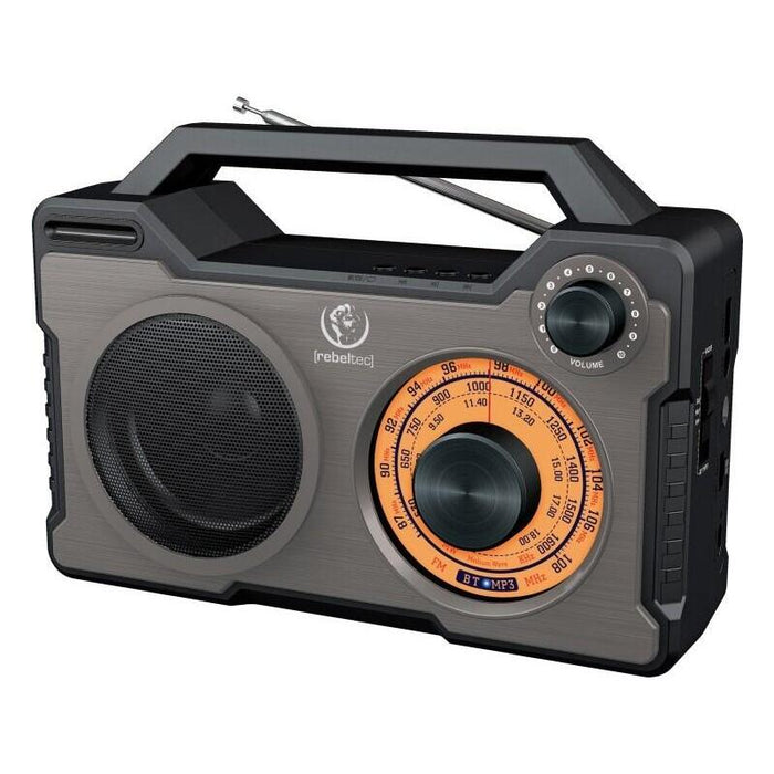Glosnik Bluetoooth/Radio Rodos