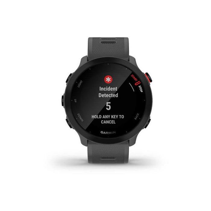 Smartwatch Garmin Forerunner 55 Black