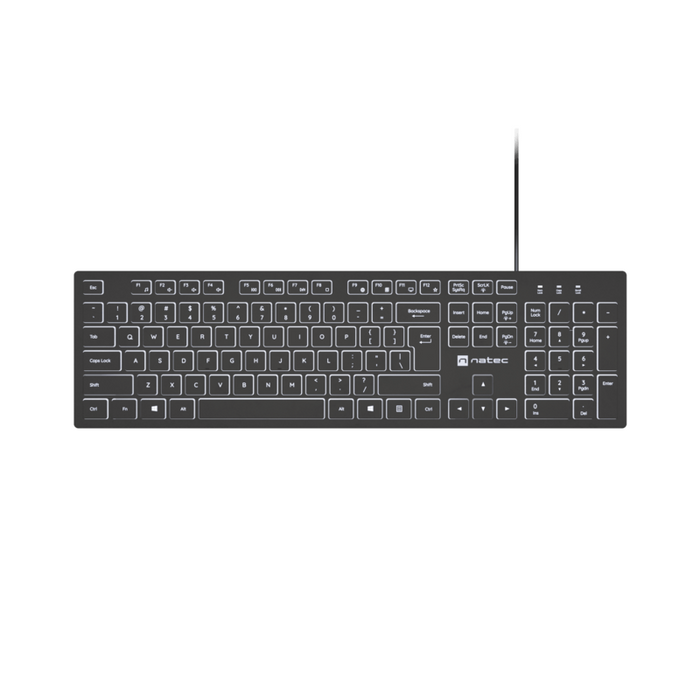 Teclado Herring Glow Us